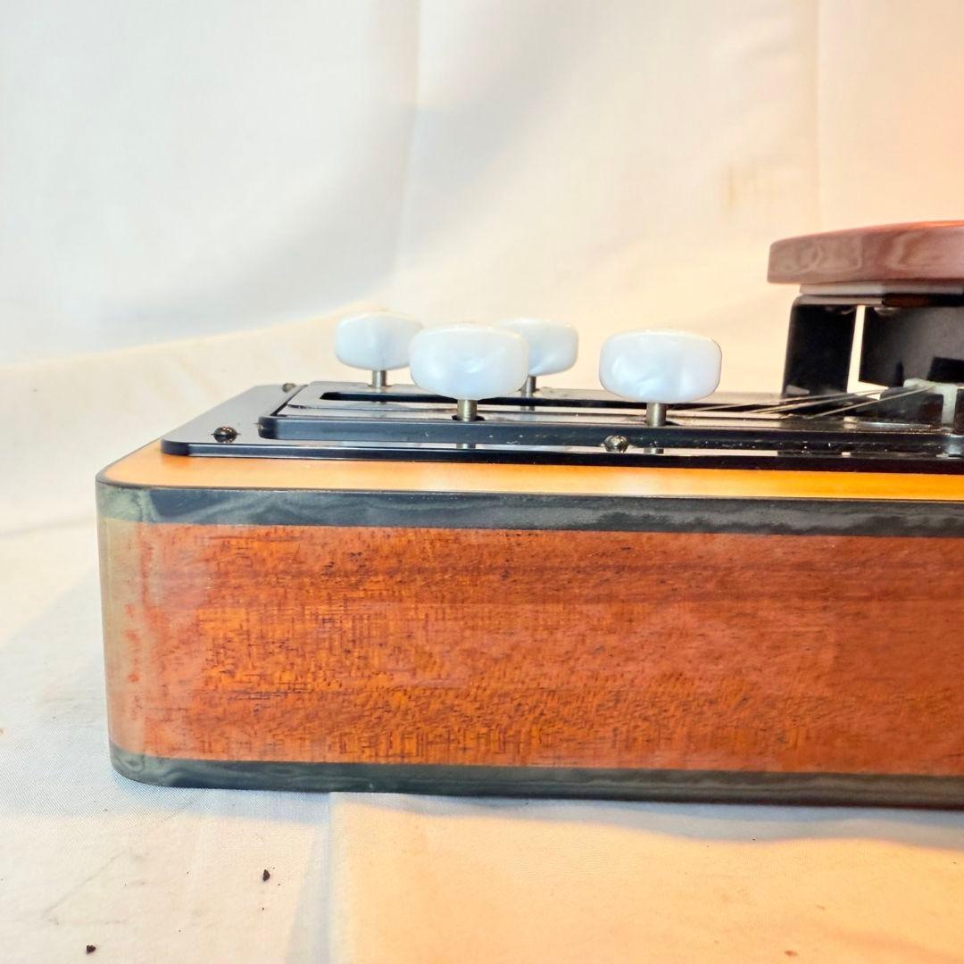 LYRISH(ライリッシュ) LPS50大正琴　 ピックアップ付き