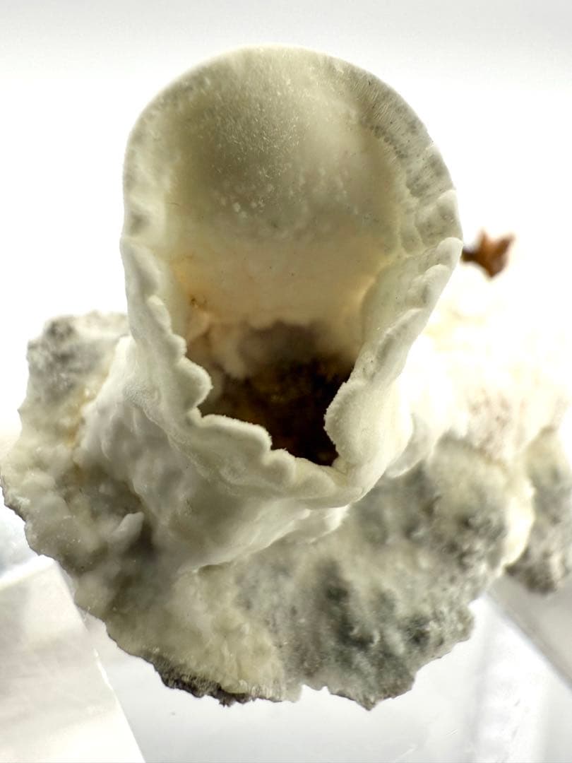 アラゴナイト カップ 原石 鉱物標本 天然石 石 霞石