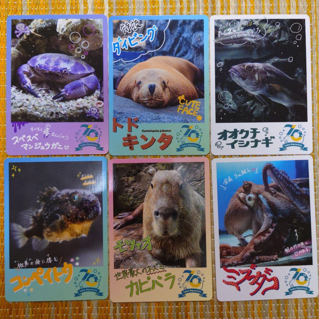 鳥羽水族館 70周年 コレクションカード - メルカリ