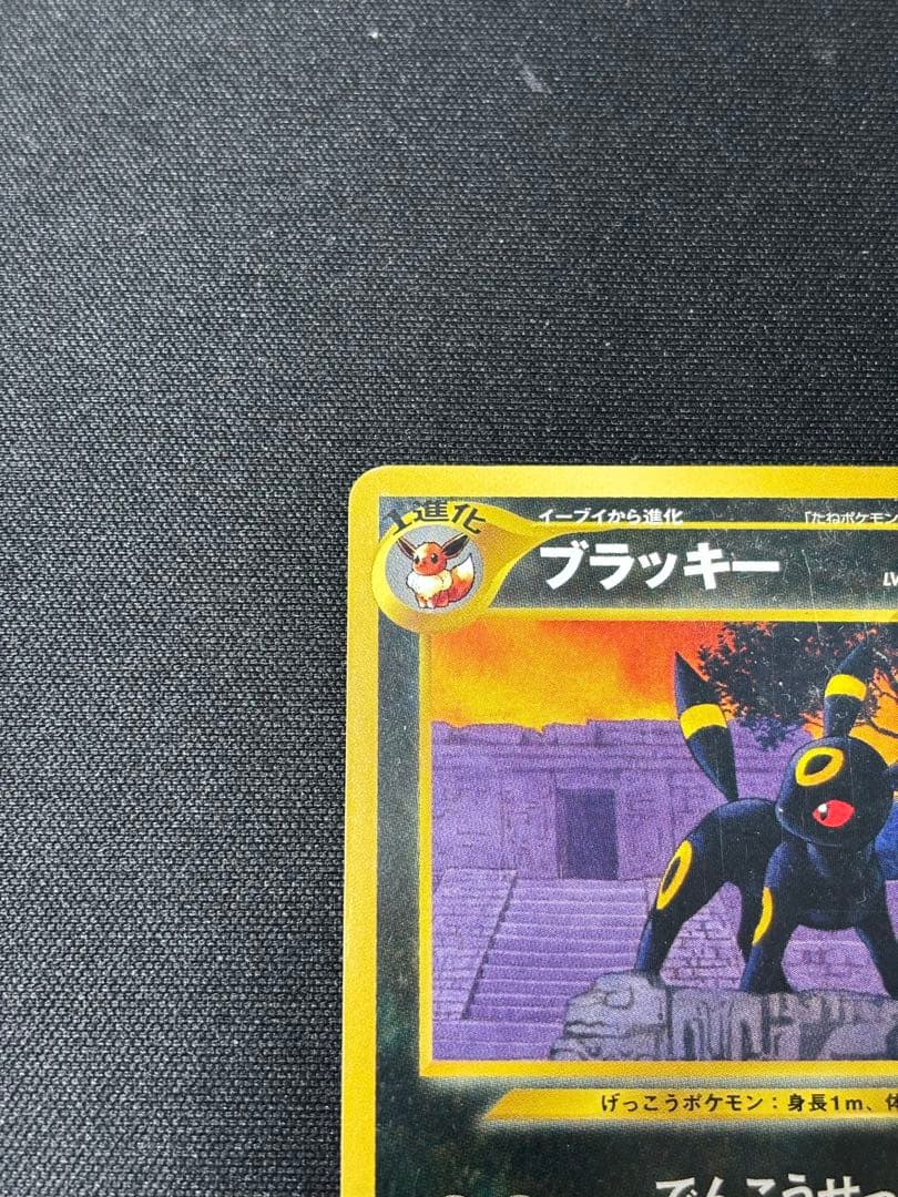 旧裏 ブラッキー プレミアムファイル2 ☆neo 遺跡をこえて - メルカリ