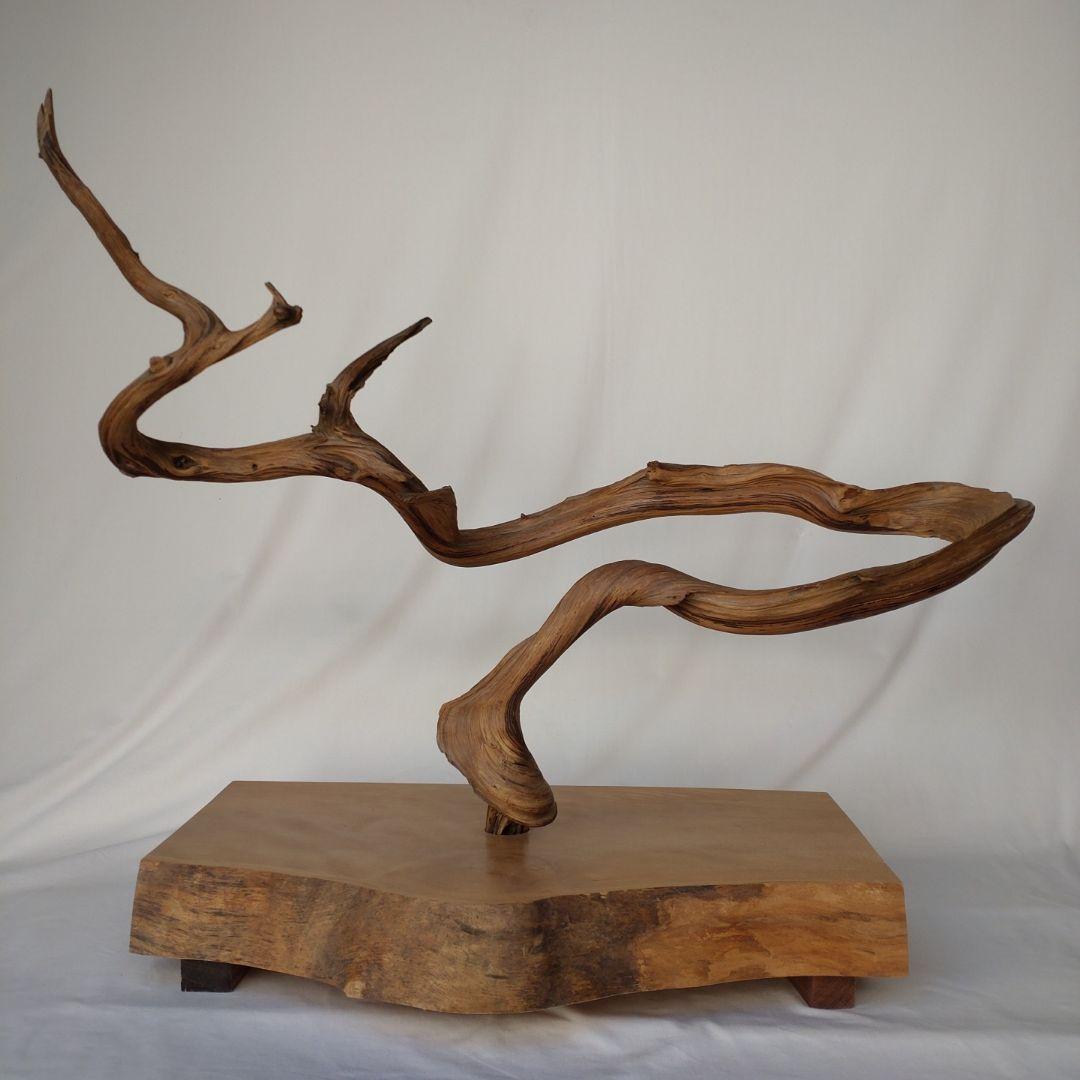 いけばなに使用した枯れ木　中古オブジェ