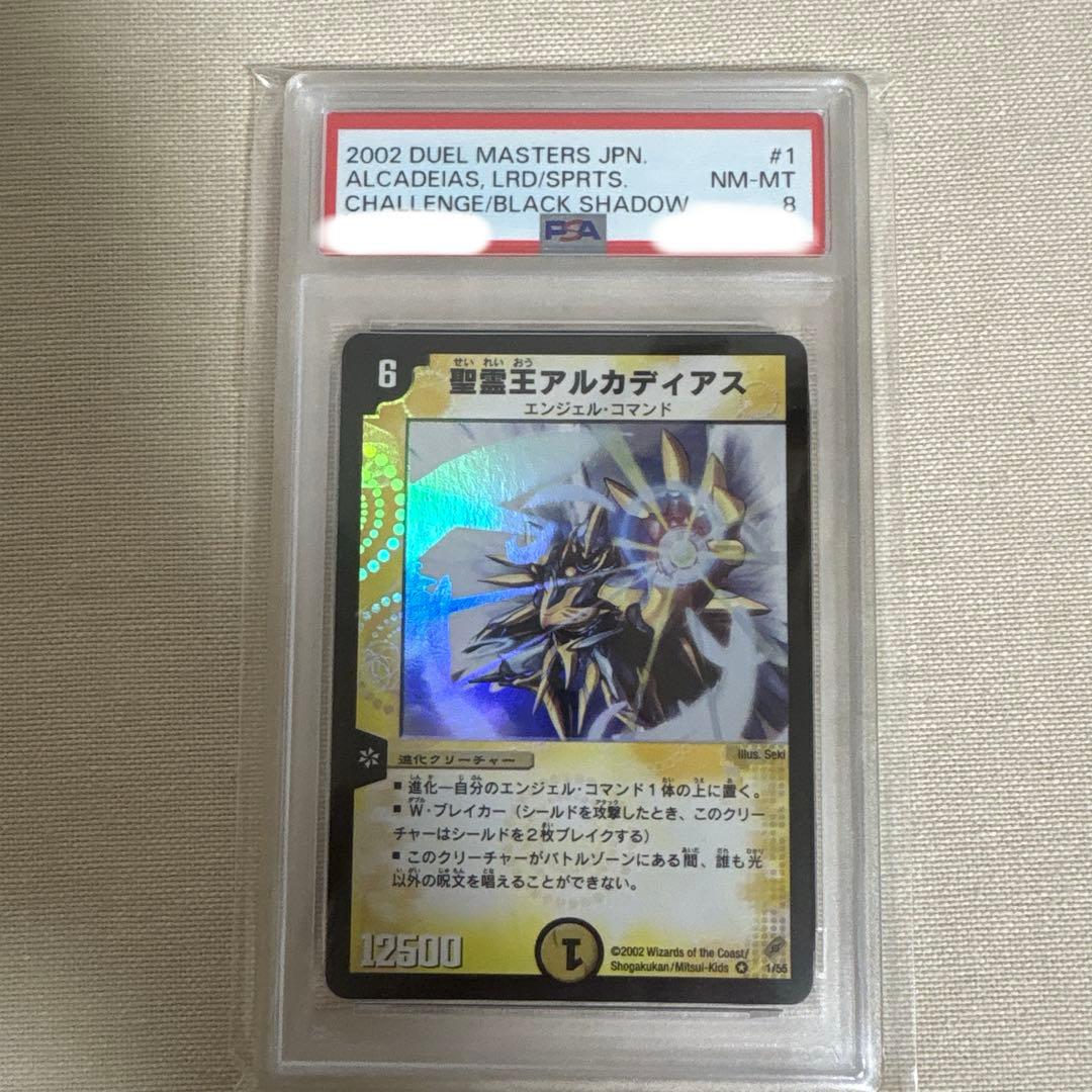 アルカディアス PSA8 初期