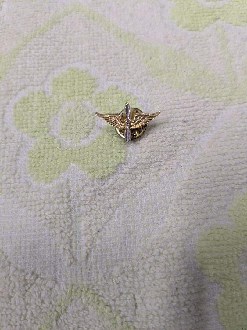 USアーミー　金色の翼デザインバッジ