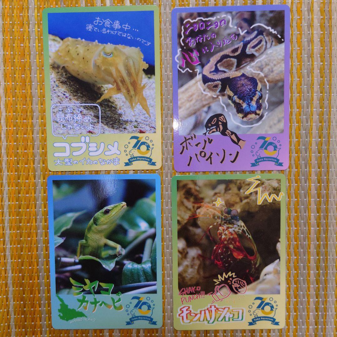 鳥羽水族館 コレクションカード - メルカリ