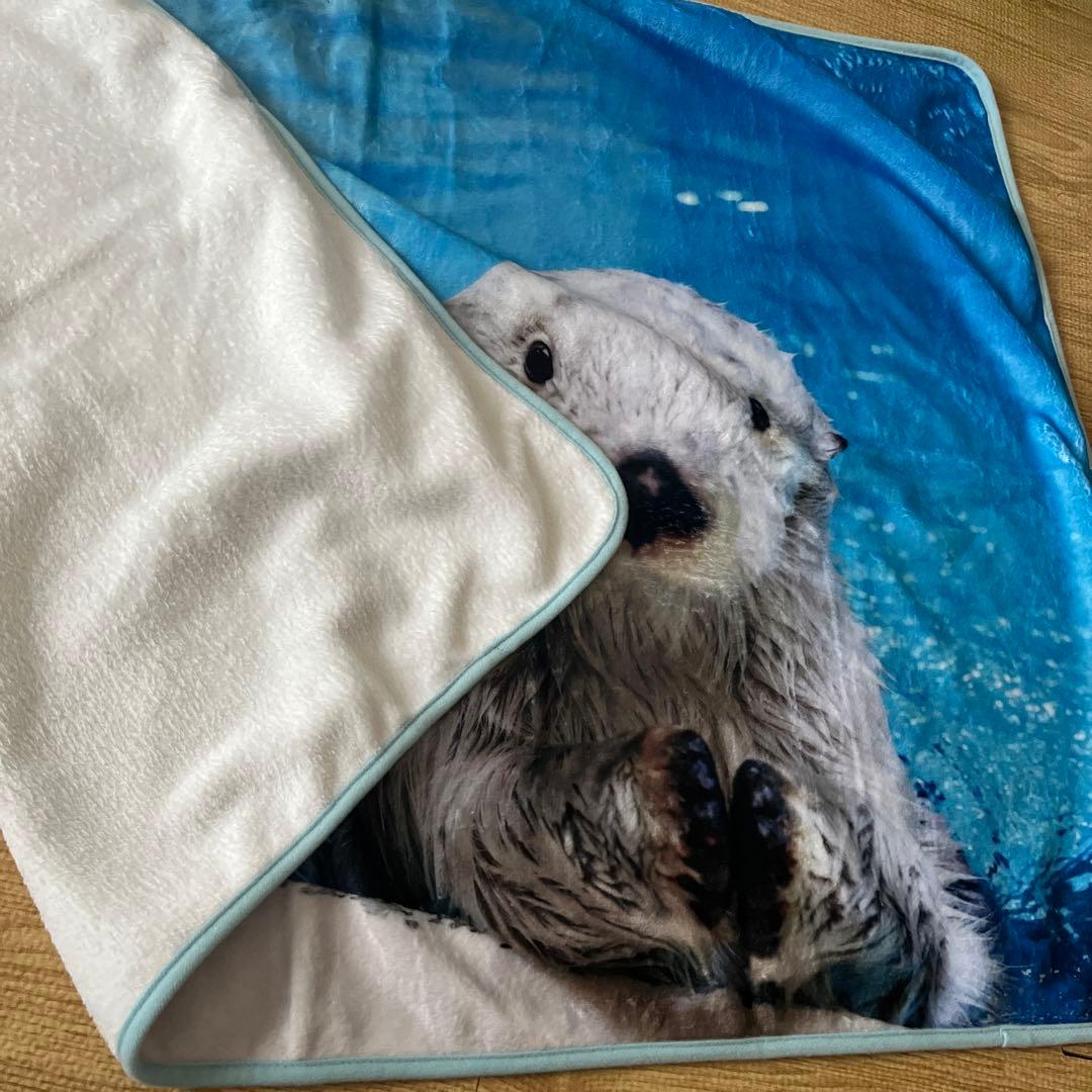 鳥羽水族館 40周年記念 ラッコ飼育 ブランケット 未使用品 - メルカリ