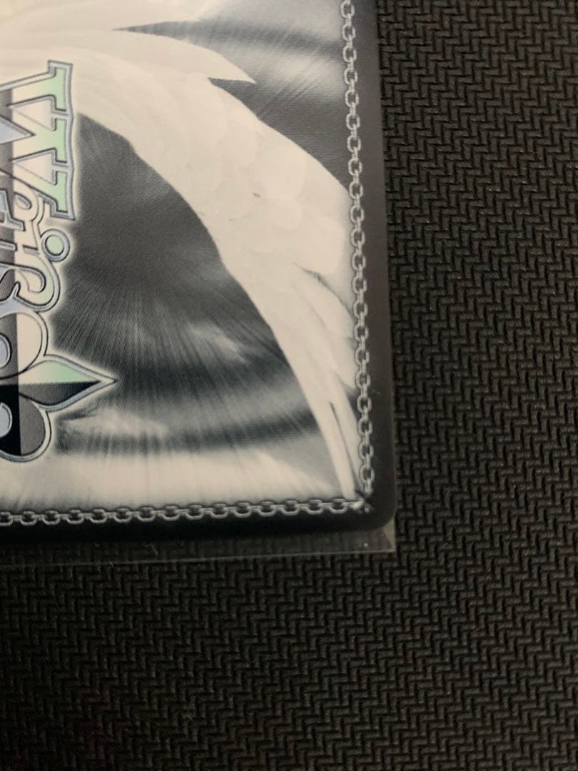 ヴァイス 電撃文庫 第四真祖と監視役 SP