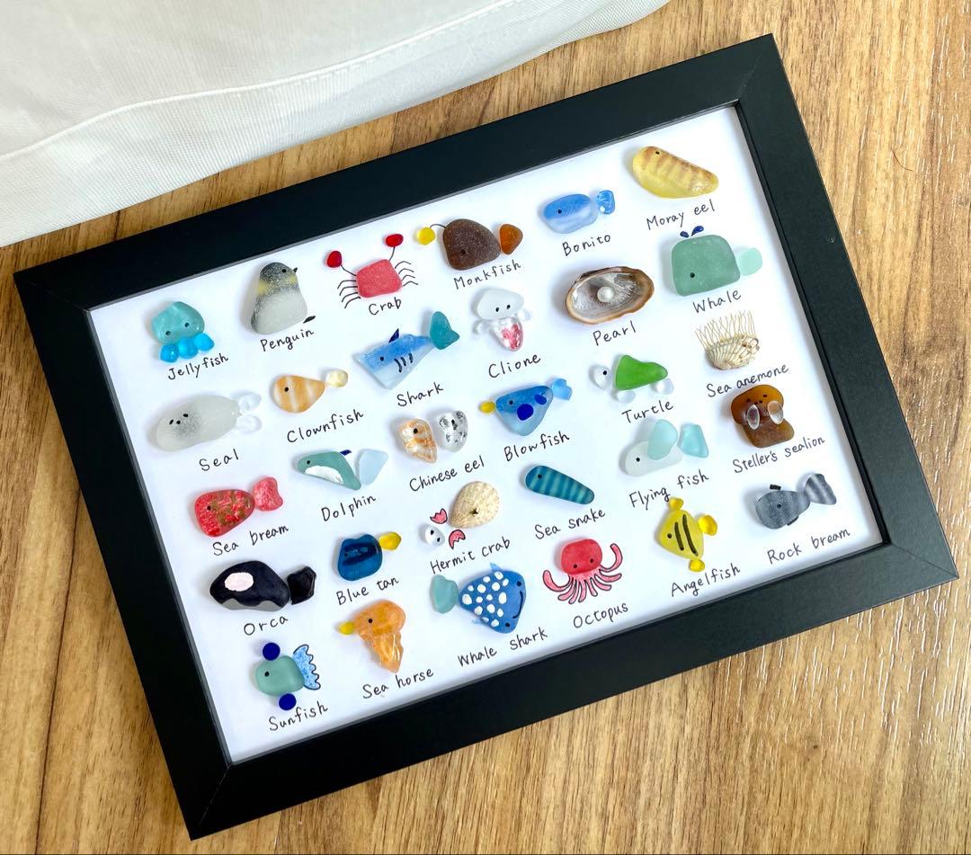 シーグラスアート☆No.370 図鑑　海の生き物　父の日　ギフト　プレゼント シーグラスアート☆No.370 図鑑 海の生き物 父の日 ギフト プレゼント