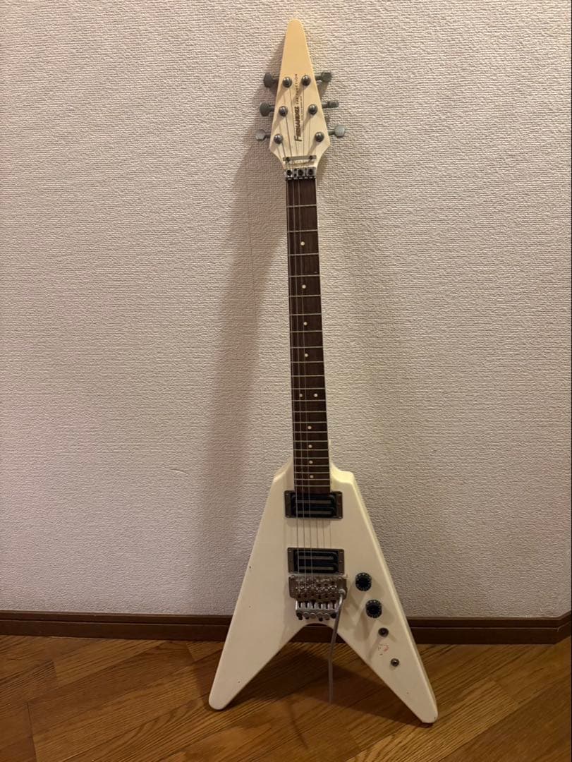 ギター Fernandes The Function