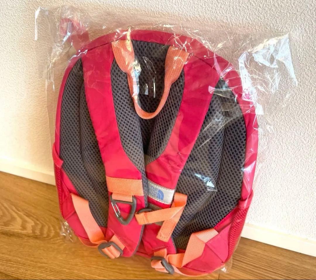 THE NORTH FACE メッシュリュック ピンク ラズベリーソルベ - メルカリ