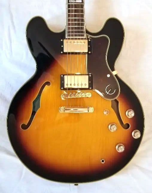 新品同様 Epiphone Sheraton II Pro 純正ハードケース Sheraton II Pro 用の質の良いソフトケースを探してます : r/Epiphone