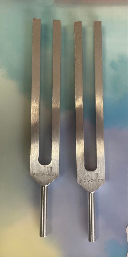 チューニングフォーク2本セット 脂肪、筋肉音叉 Amazon | COZENTA 音叉 チューニングフォーク セット 瞑想 ヒーリング