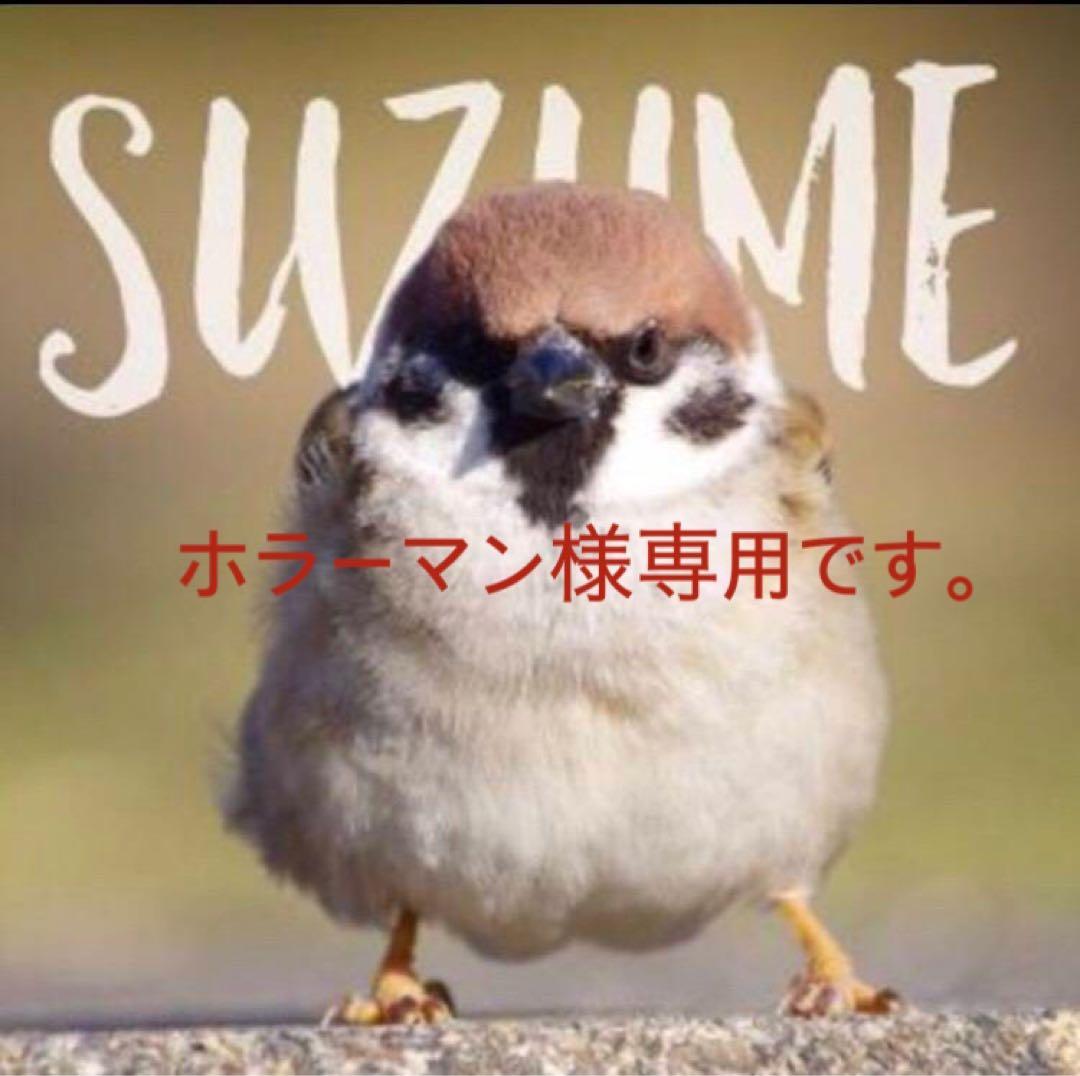 商品の説明はありませんホーネット250用シート　 【ホラーマンです。】