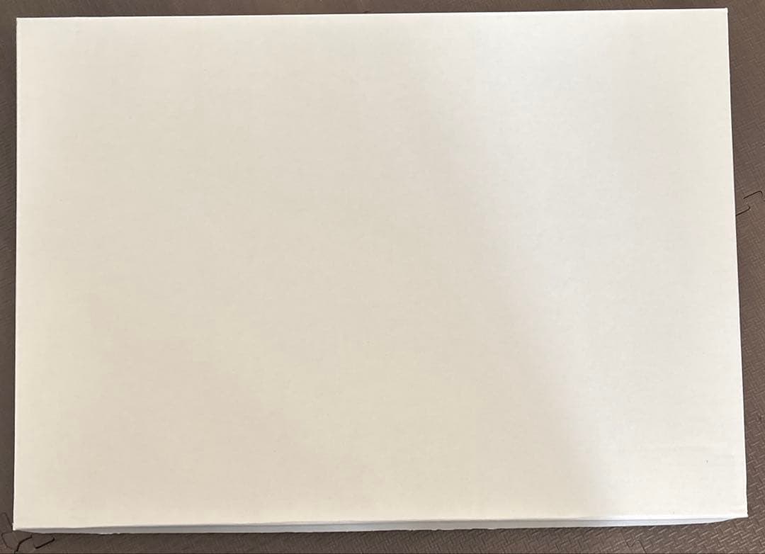 ブルーアーカイブ 額装イラスト「夢が残した足跡」(箔加工アート