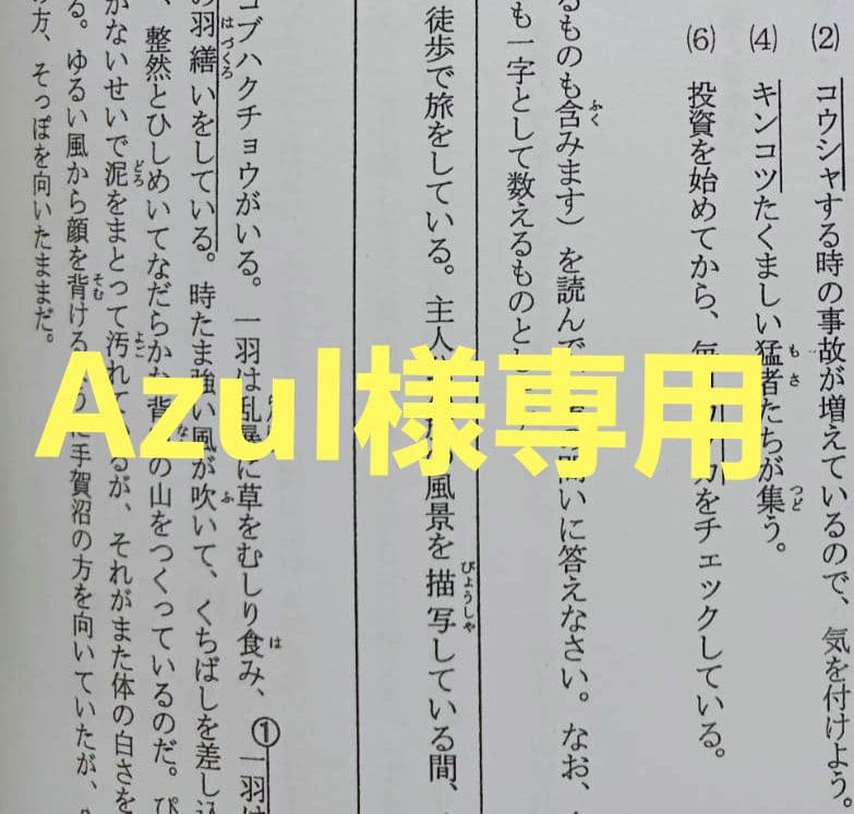 語学・辞書・学習参考書 Azul