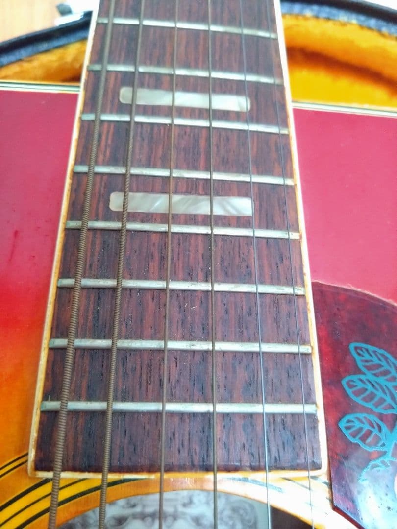 アコースティックギター EliteTAKAMINEGAKKI HM200