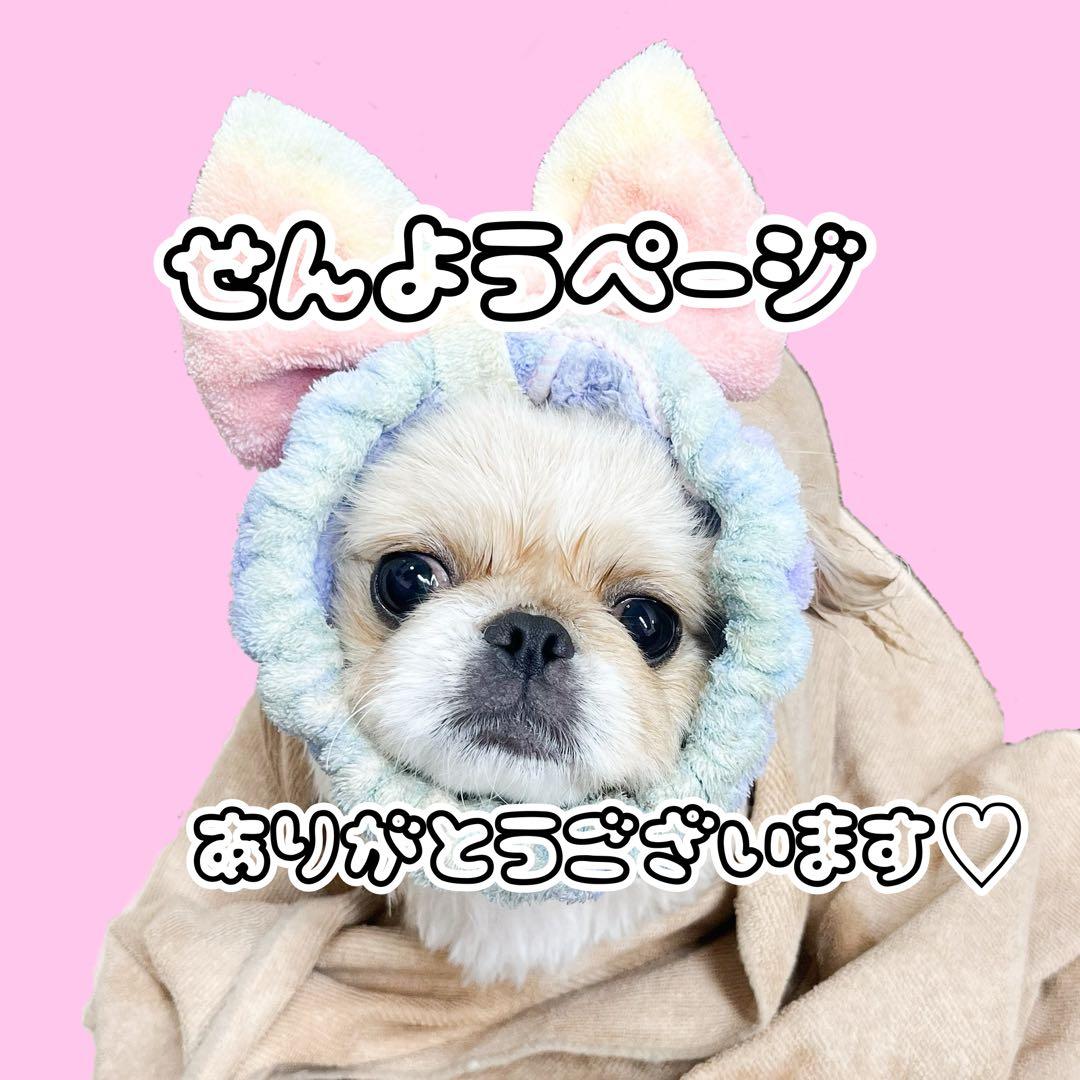 専用ページ ラッピング系 詰め合わせ