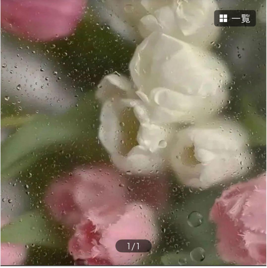 ku✳︎ プラグ3ケセット HPA-QJP3 | アネスト岩田公式通販