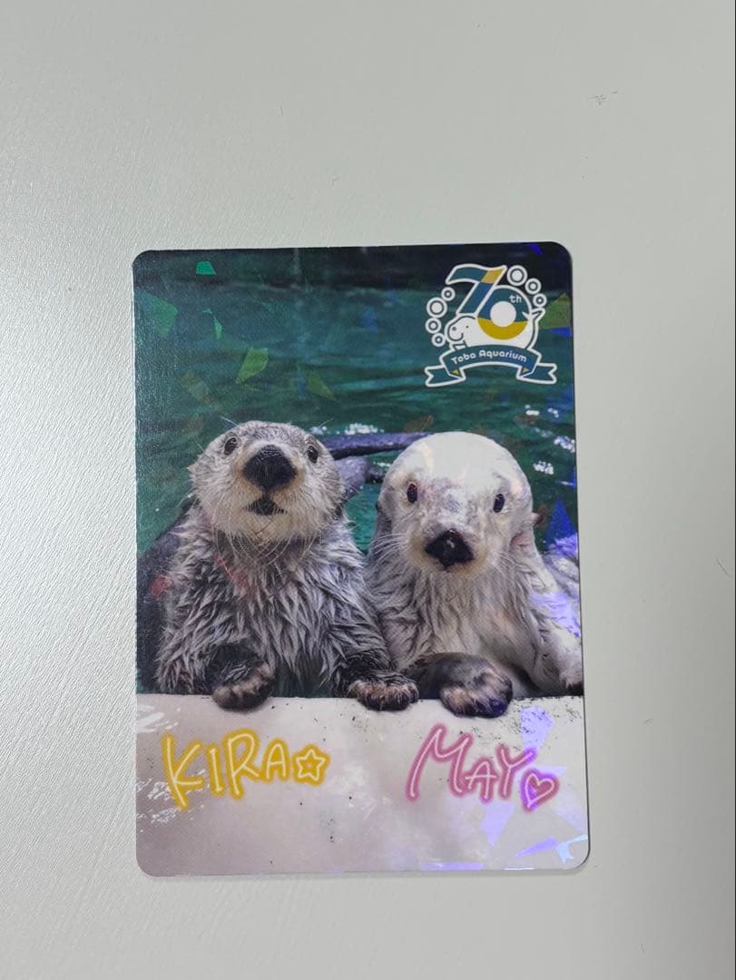 鳥羽水族館　コレクションカード　キラ　メイ 鳥羽水族館コレクションカード キラ メイ - メルカリ