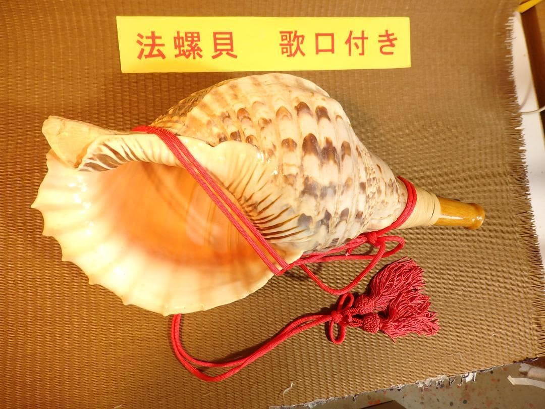 法螺貝 約39㎝ 木製歌口,赤紐付　新品　 MH-430 Amazon｜伊勢 - 宮忠 – 法螺貝 ほら貝 楽器 笛 歌口付き 真言宗タイプ