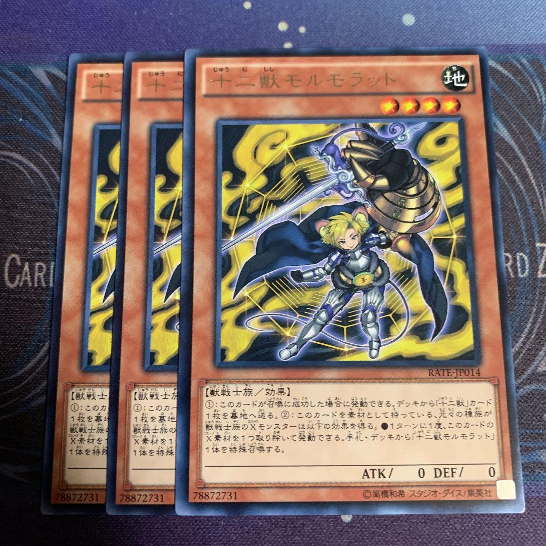 遊戯王 十二獣モルモラット 3枚 - メルカリ