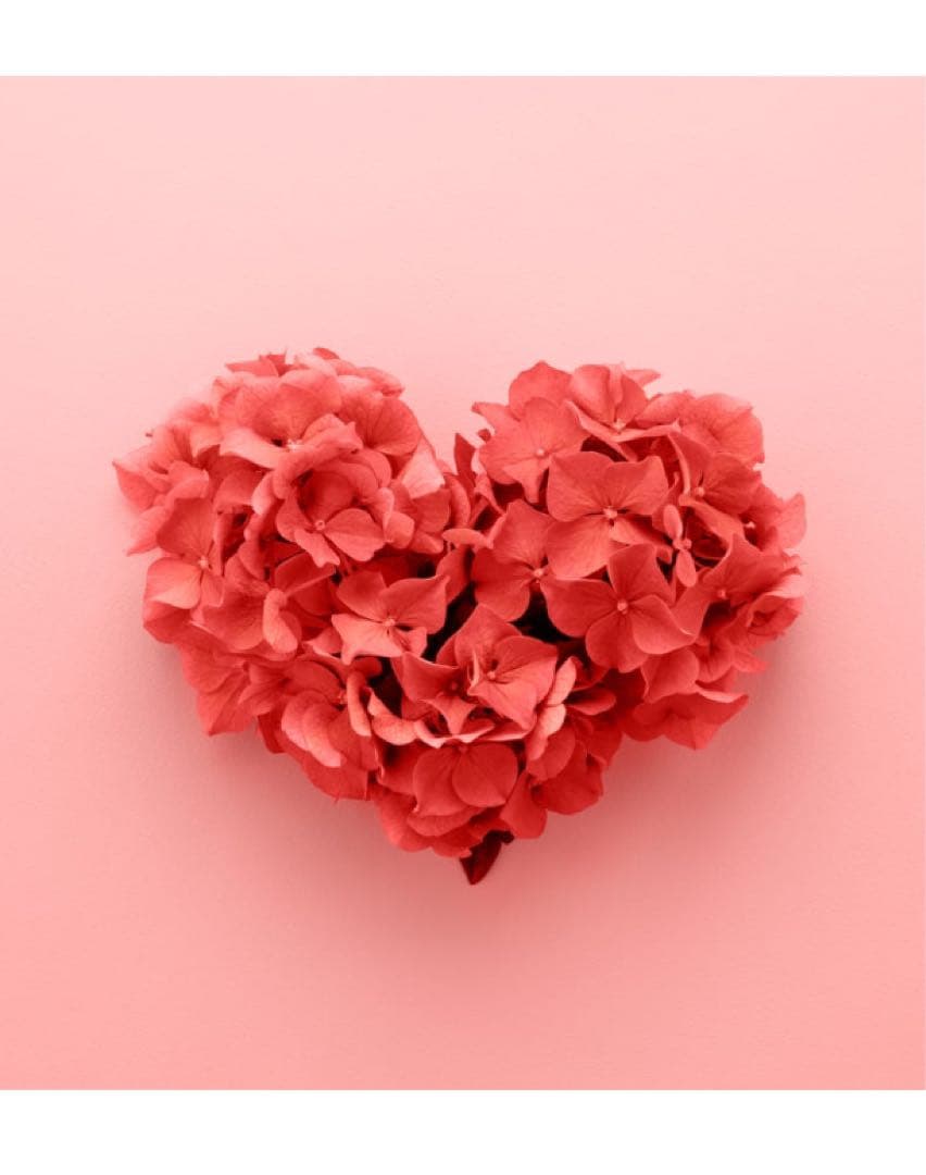 まぁ 4点おまとめ 4気筒、399cc、77馬力！「ニンジャ ZX-4RR KRT EDITION／ニンジャ ZX