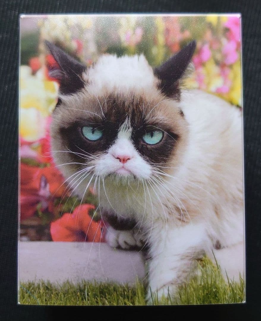 ultra pro グランピー キャット デッキケース 猫