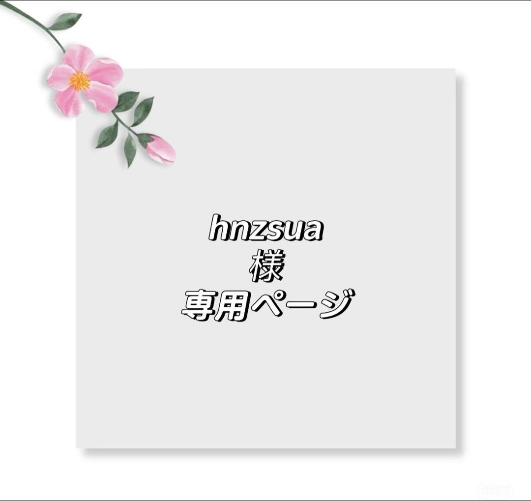 hnzsuaページ