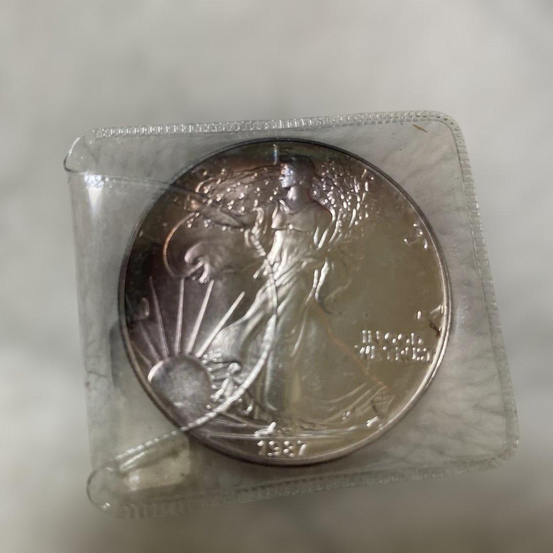 アメリカ d-90996.jpg