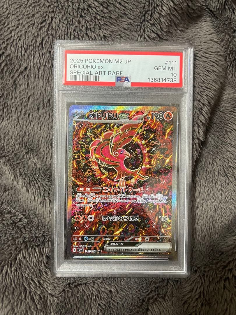 オドリドリ　-ＰＳＡ１０