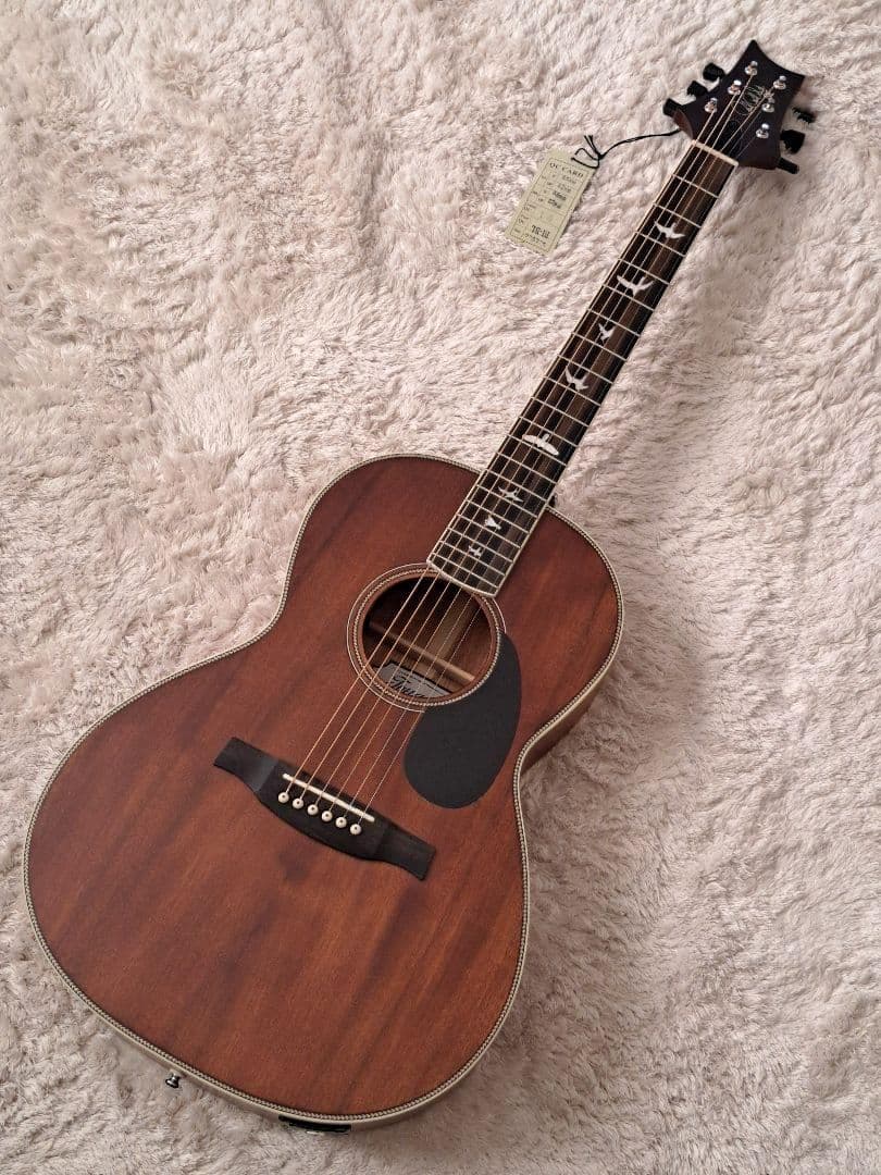 rnfjfs　新品同様　Paul Reed Smith SE P20E