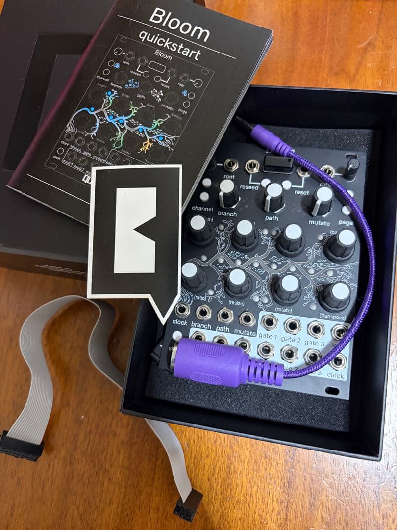 大幅値下げQu-bit Electronix Bloom v2 - メルカリ