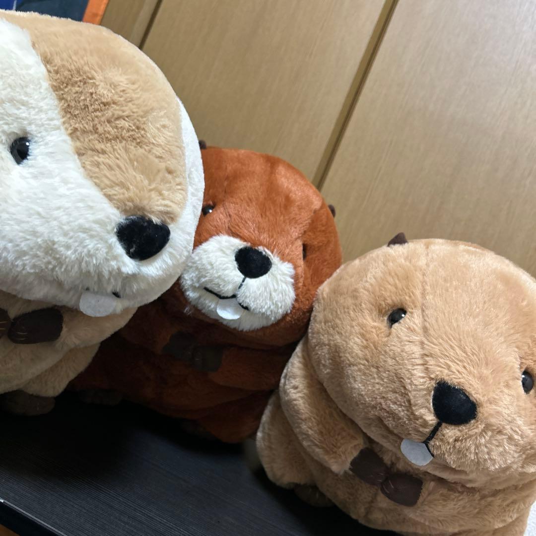 むっちりビーバーたっち ウルトラBIG 全3種類セット