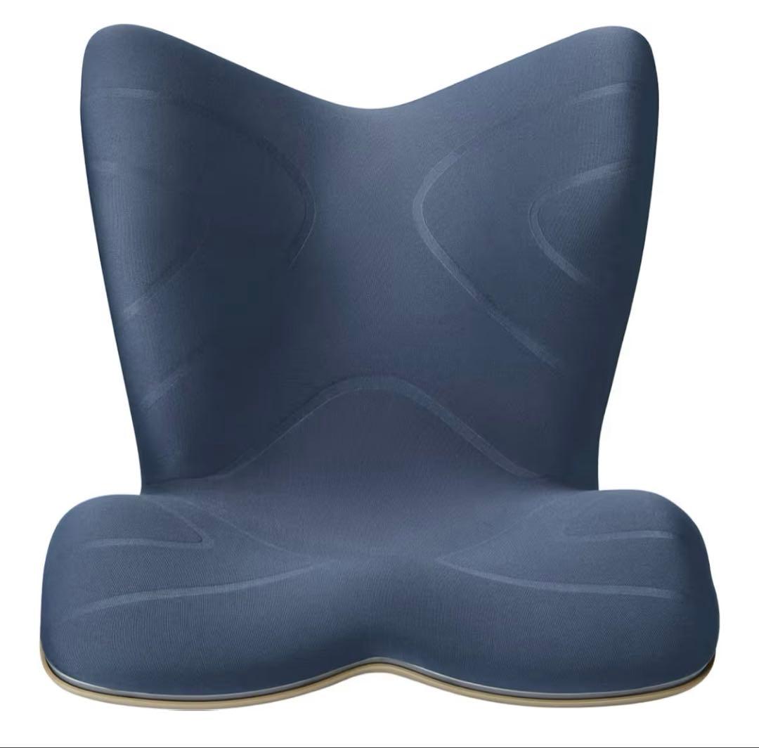 Style PREMIUM Series MTG サポートクッション ネイビー
