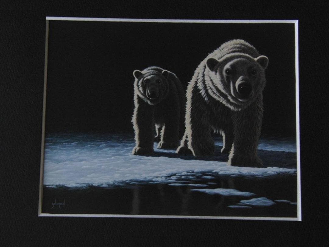 シム・シメール、【OUT OF THE DARKNESS】、希少な額装用画集より