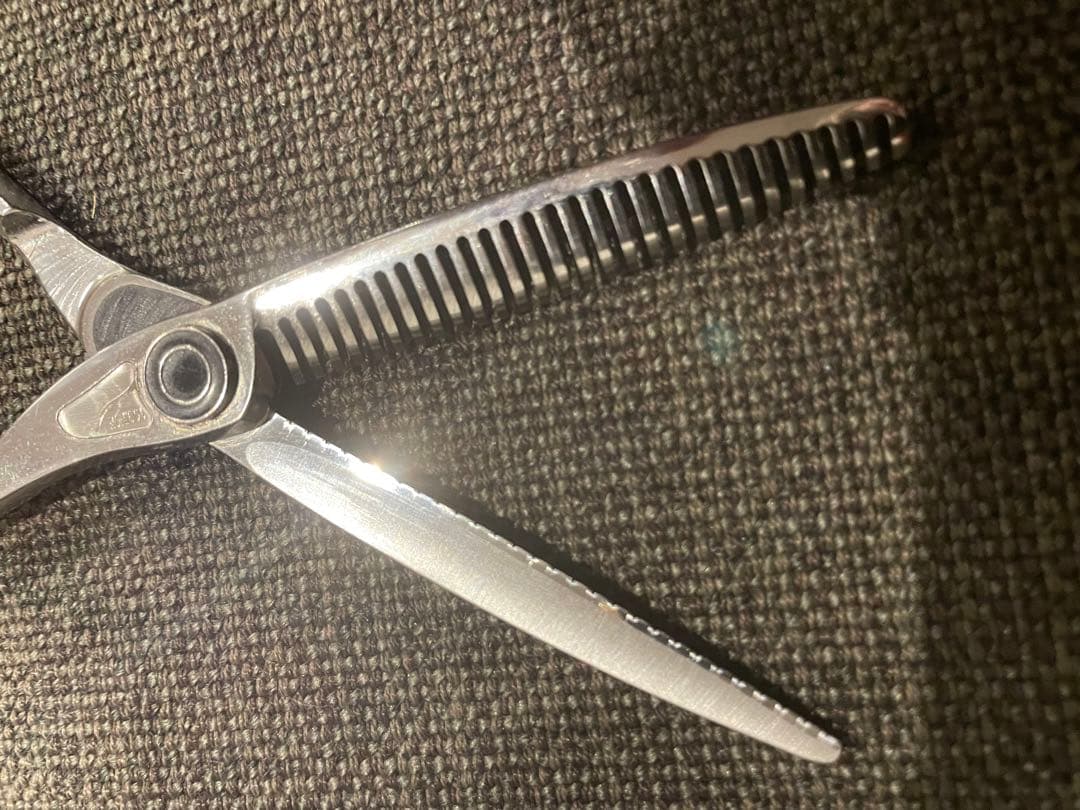 トギノン　サクセススター