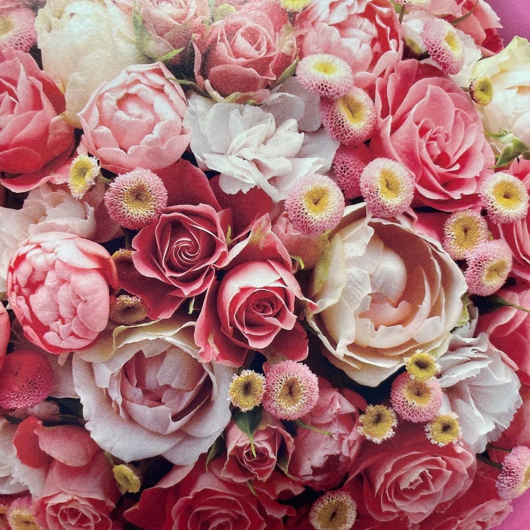 専用　(o^^o)となります