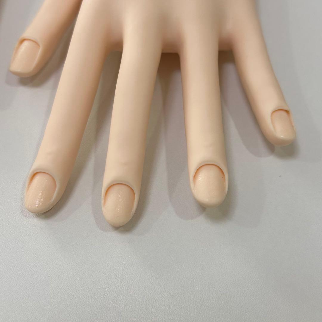 JNEC認定 モデルハンド セット - メルカリ