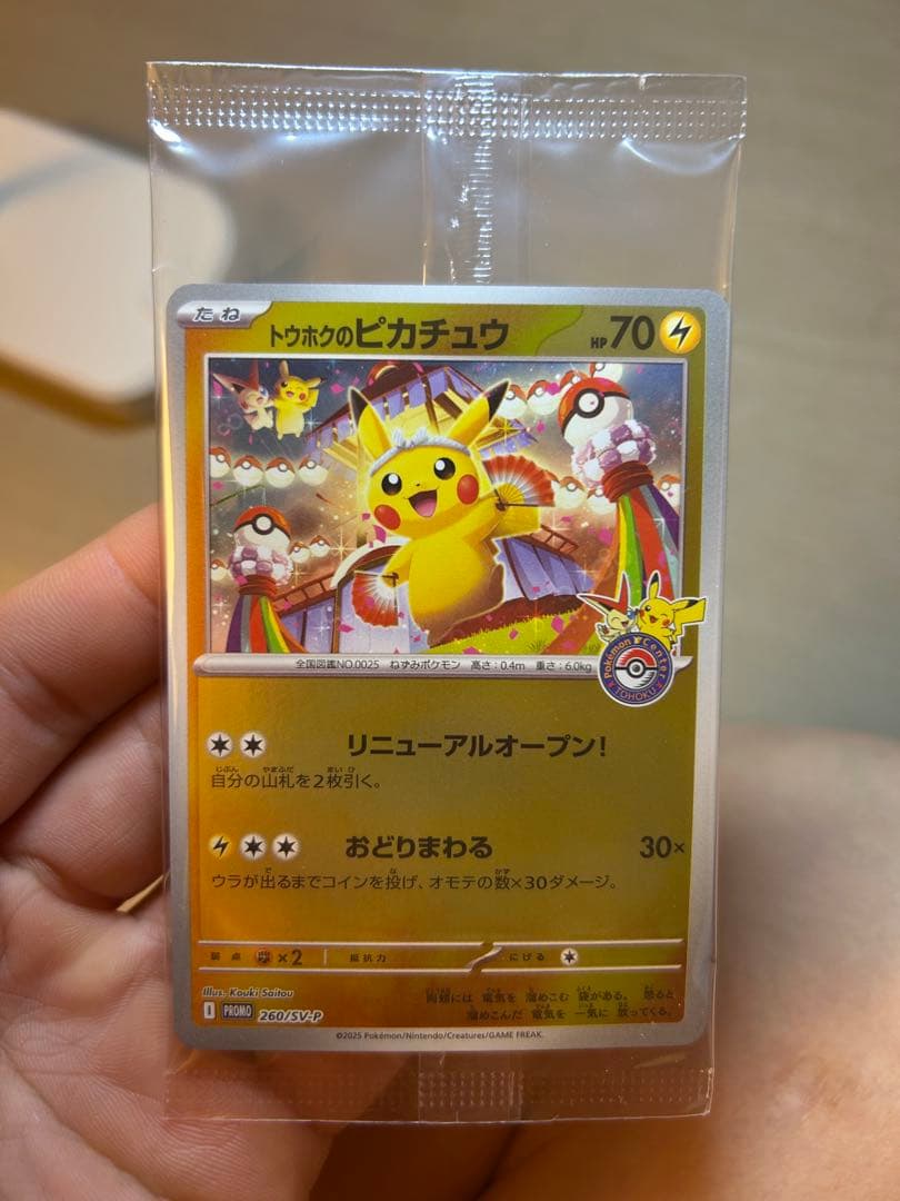 トウホクのピカチュウ 70