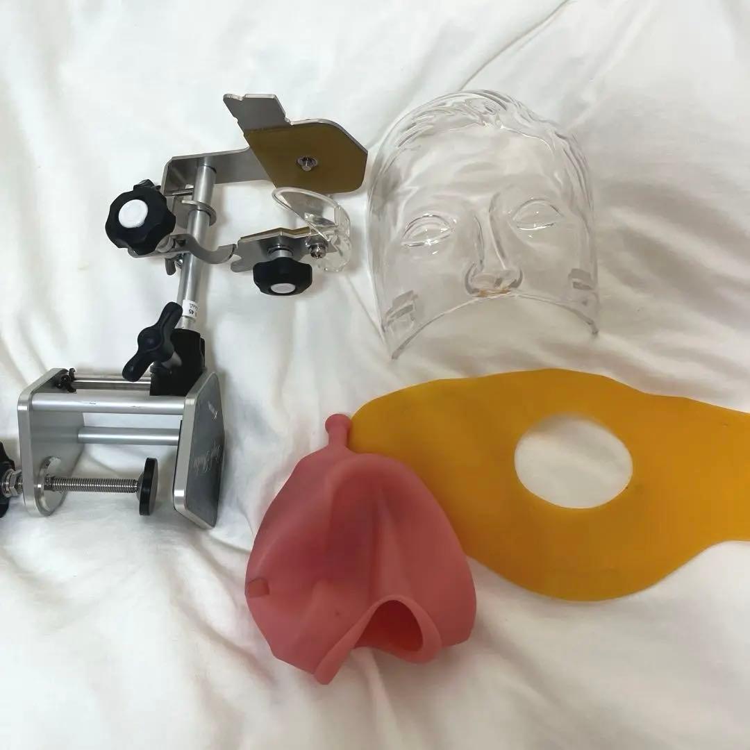 NISSIN 歯科用 シンプルマネキンセット