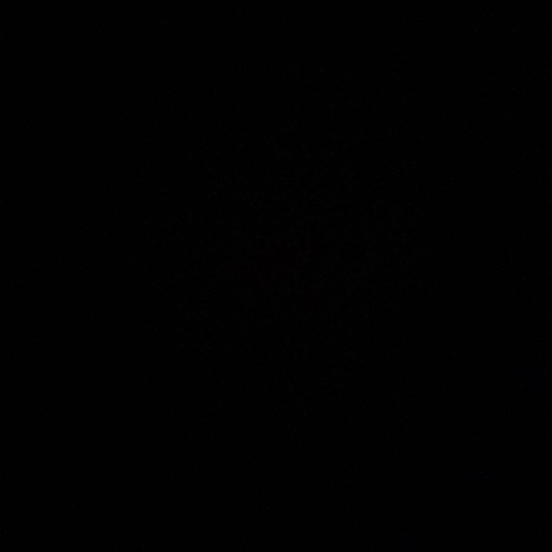 イチゴさん専用②