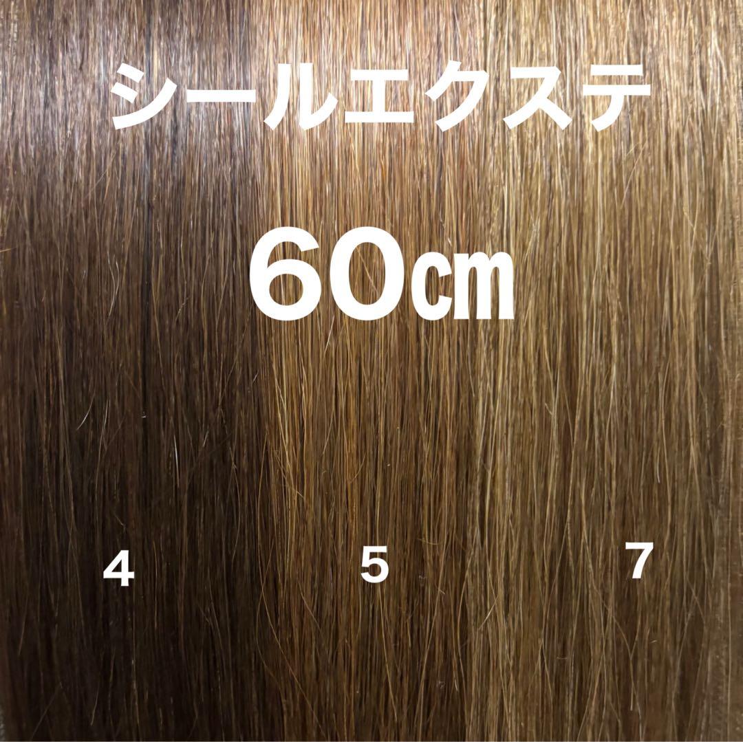 シールエクステ 60 カラーエクステ ロングストレート - メルカリ