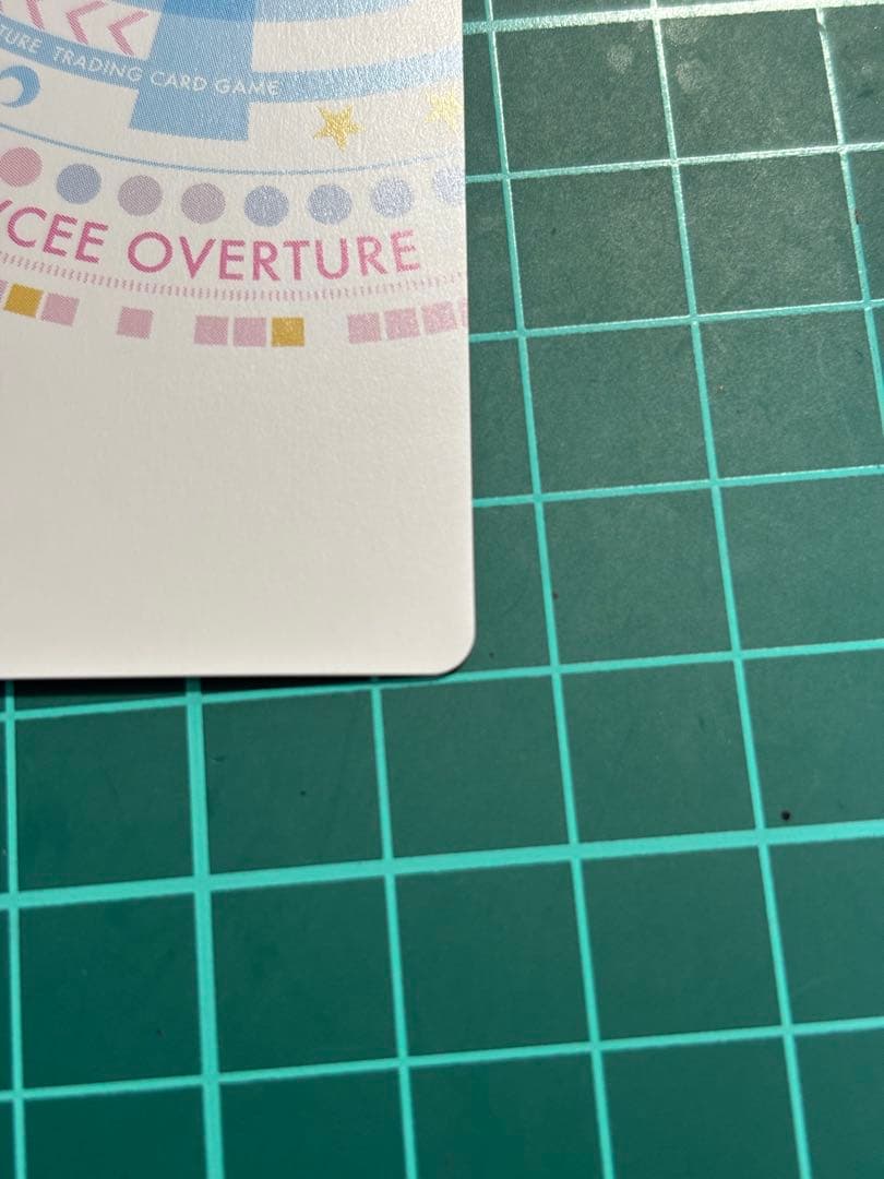 朱*読様 Lycee ルビイ　SP