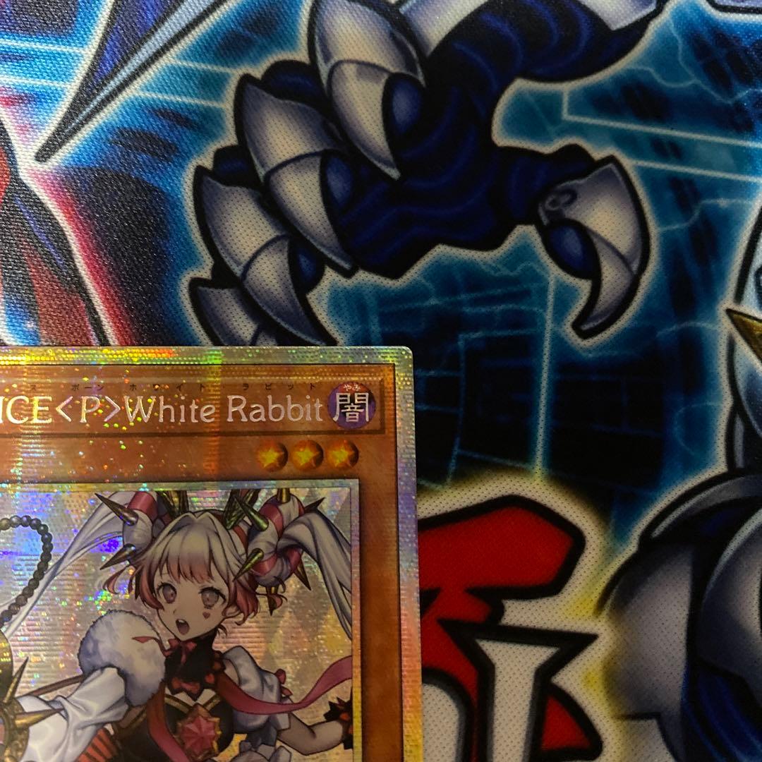 遊戯王　M∀LICE<P>White Rabbit アジア版　STSP プリズマ M∀LICE＜P＞White Rabbit/遅刻遅刻〜！/プリズマティックシークレット