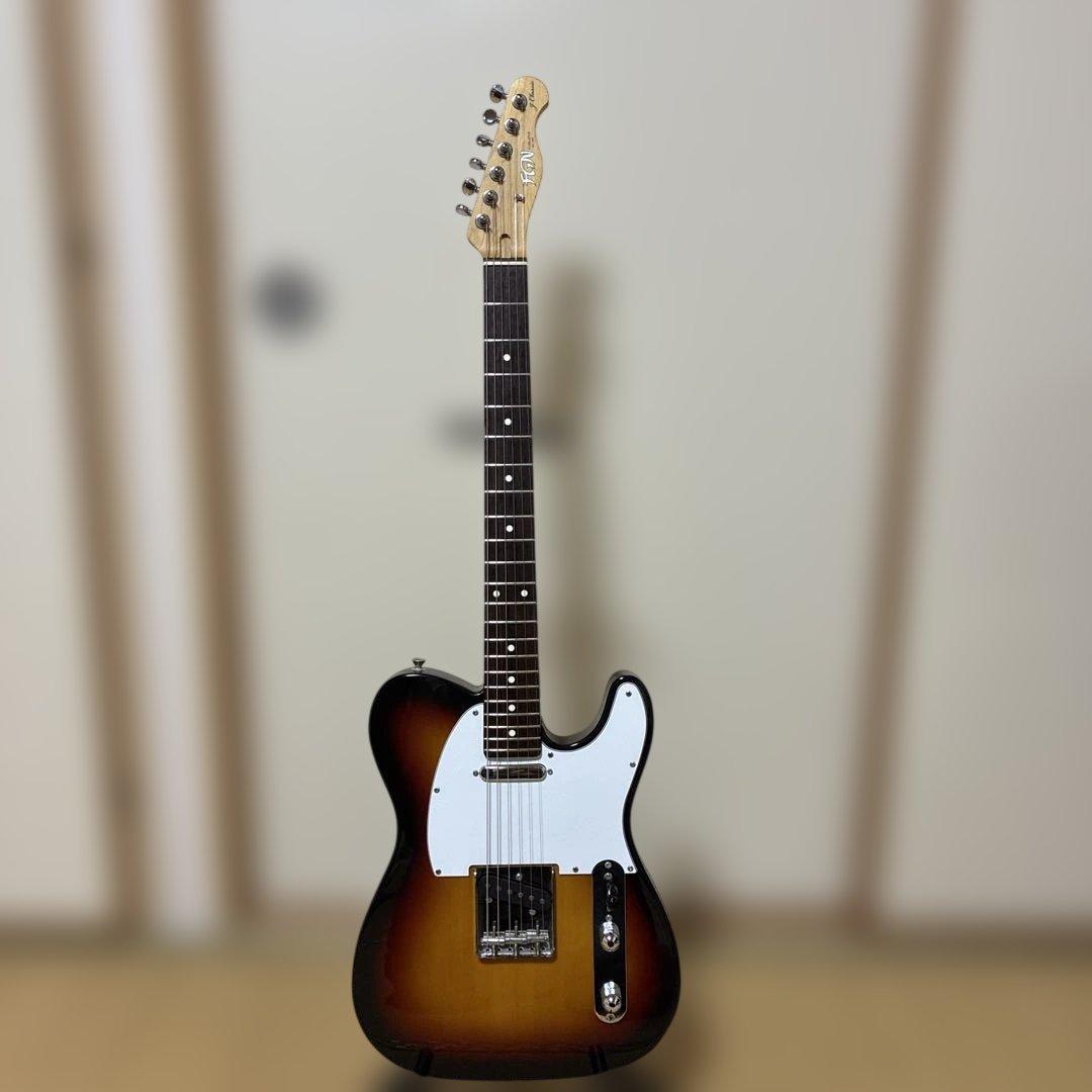 FgN(フジゲン) テレキャスタータイプ