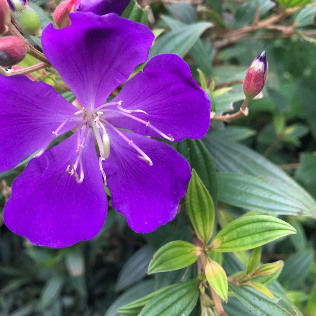 Mem断捨離中様。