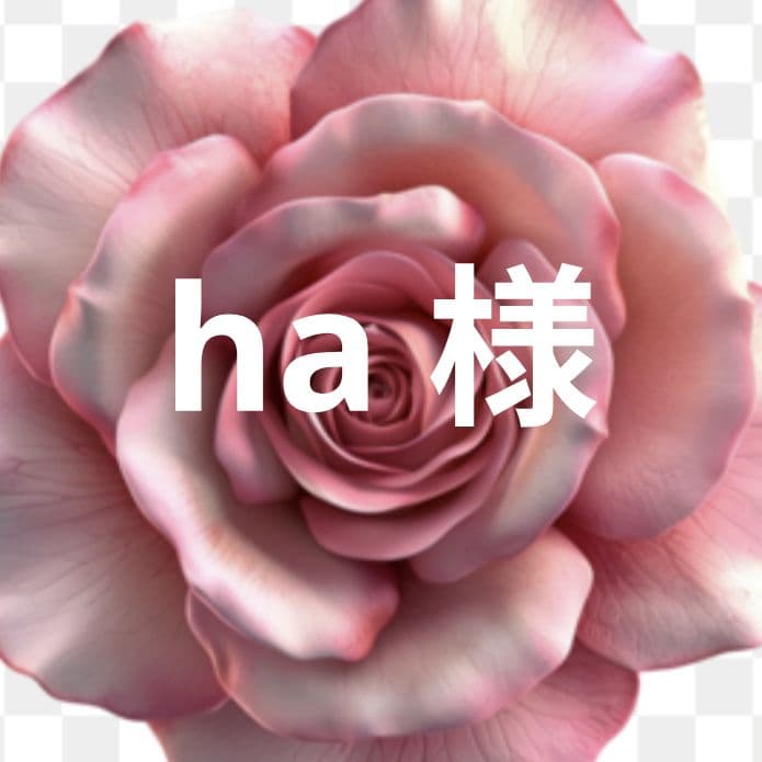 ha でございます　モアサナイト 20240121131451_2.jpg