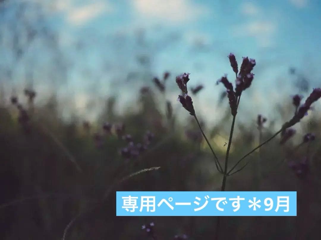 tama☆彡ページです＊