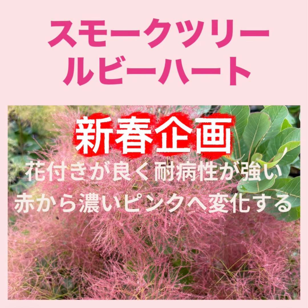 おまとめHirahira様 リクエスト 5点