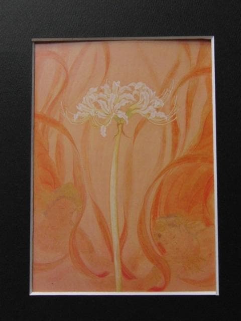 藤井範子、【宙】、希少な額装用画集より、新品額装付、状態良好