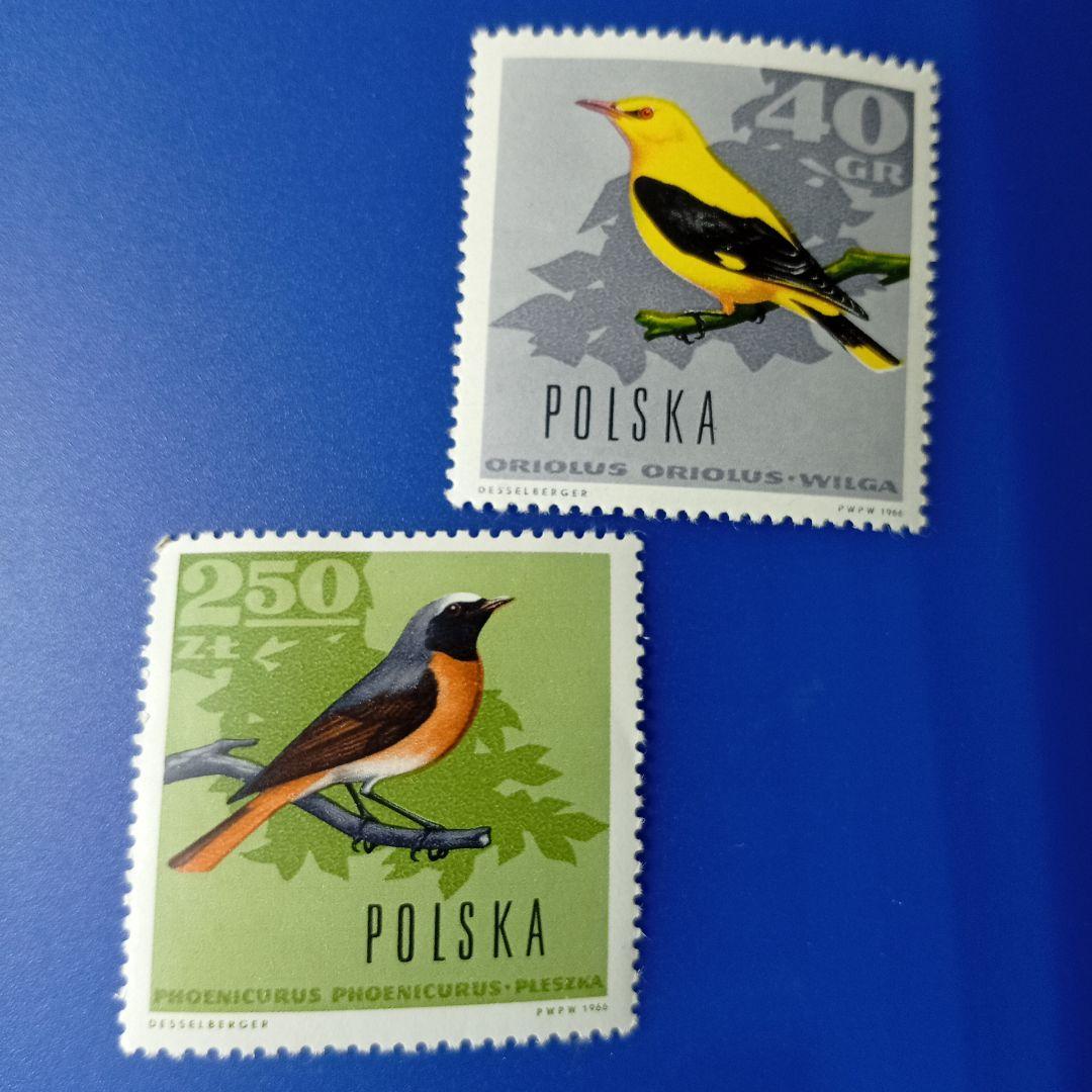 3249 外国切手 ポーランド 1966年 野鳥 14種 未使用